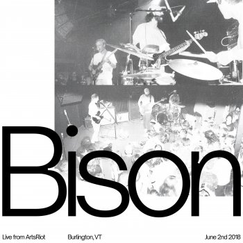 Bison Mousehole (Live)