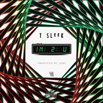 T Sleek IN2U