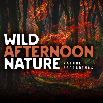 Nature Recordings Tweeting Stromy