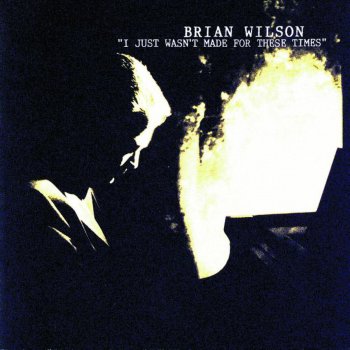 Brian Wilson The Warmth Of The Sun