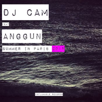 DJ Cam feat. Anggun Summer in Paris (Dima Studitsky Remix) [feat. Anggun]