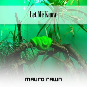 Mauro Rawn Colorado