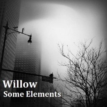 Willow Hydrogen