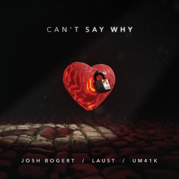 Josh Bogert feat. Laust & Um41K Can't Say Why