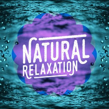 Outside Broadcast Recordings Magpie in the Hedgerow