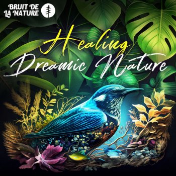 Bruit De La Nature Nest Birds