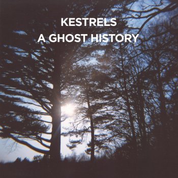 Kestrels The Past Rests