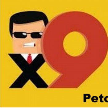 Исполнитель Peto, альбом X9