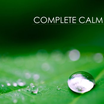 Calming Music Academy Higher Self