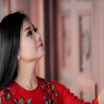 Duong Hong Loan feat. Lưu Chí Vỹ LK Đính Ước