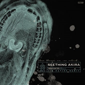 Исполнитель Seething Akira, альбом Frequencies (Jim Davies Remix) - Single