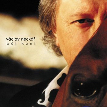 Václav Neckář feat. Bacily Tak pojď domů