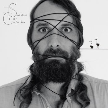 Sébastien Tellier Le Delta des amours