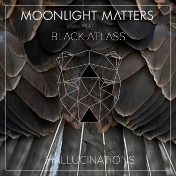 Исполнитель Moonlight Matters, альбом Hallucinations