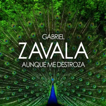 Gabriel Zavala Aunque Me Destroza