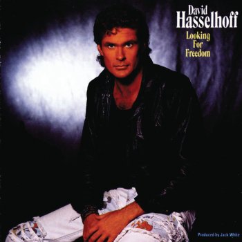 David Hasselhoff Looking for Freedom