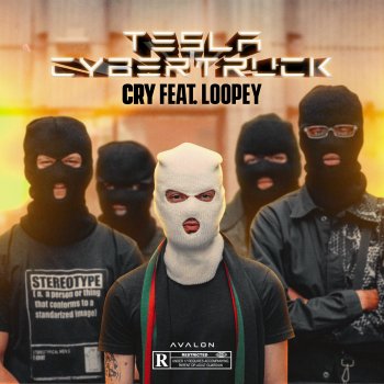 Cry Tesla Cybertruck (feat. Loopey) [Instrumental]
