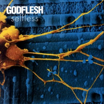 Godflesh Back Boned Angel