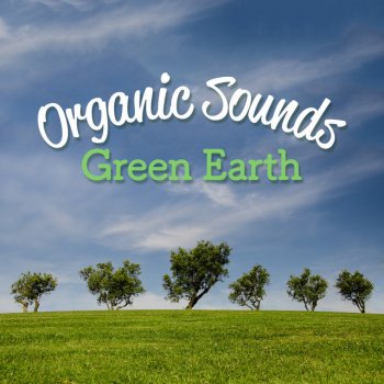 Sounds of Nature Relaxation Trees and Water