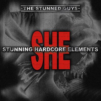 The Stunned Guys She - Confused mix