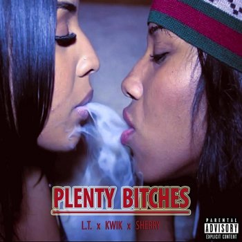 L.T. feat. Kwik & Sherry Plenty Bitches