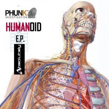 Phunk Investigation Falling Star