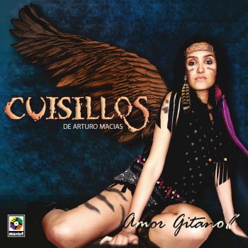 Cuisillos de Arturo Macias Mala Suerte
