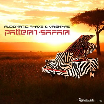 Исполнитель Audiomatic, альбом Pattern Safari