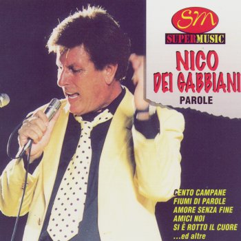 Nico dei Gabbiani Parole