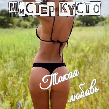 Мистер Кусто Без повода