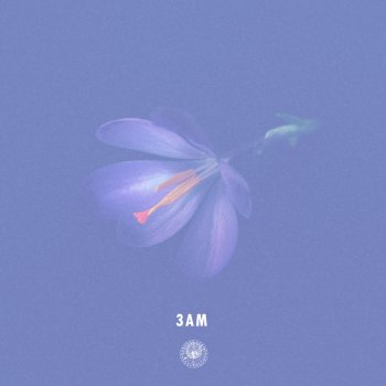 AmPm feat. Haneri 3AM