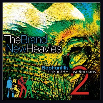 The Brand New Heavies Shelter (Jan's Big Funk)