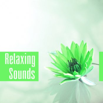 Stress Relief Calm Oasis Peaceful Music