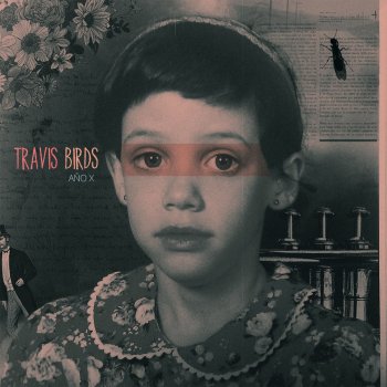 Travis Birds Azul Noche