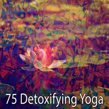 Meditation Awareness Serenity Sanctuary