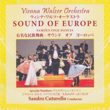 Vienna Walzer Orchestra feat. Sandro Cuturello Howl's Moving Castle
