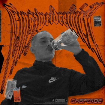 Chapo102 feat. 102 Boyz EINSZWEIDREIVIER