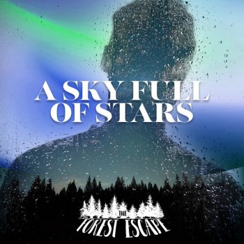 The Forest Escape Humid Trails