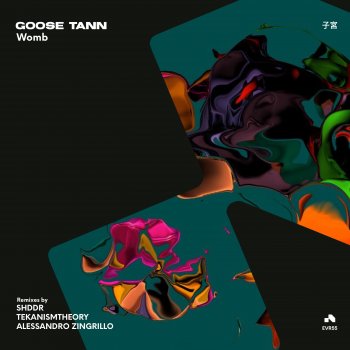 Goose Tann Womb (SHDDR Remix)