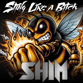 Shim Sting like a bitch (Radio Edit)