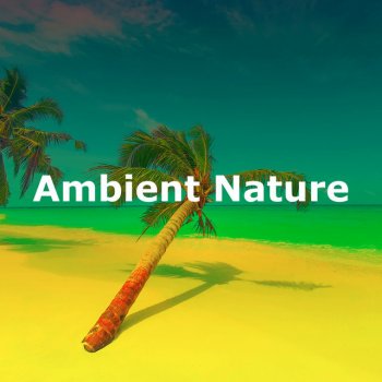 Nature Field Recordings River Waiting