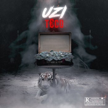 UZI Teco
