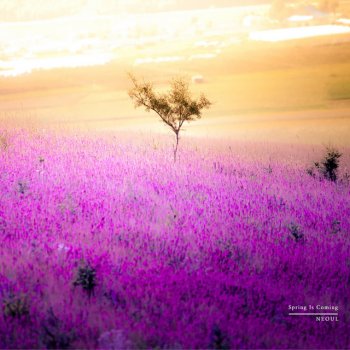 Исполнитель Neoul, альбом Spring Is Coming