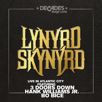 Lynyrd Skynyrd feat. Hank Williams Jr. Down South Jukin' (Live in Atlantic City)