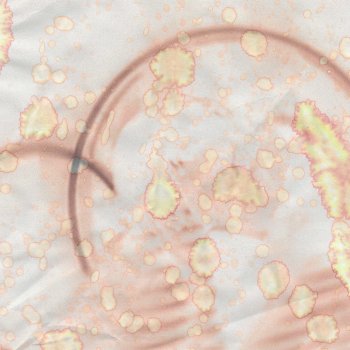 Исполнитель Familypet, альбом Lights Out - Single