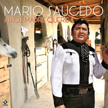 Исполнитель Mario Saucedo, альбом Adiós Madre Querida