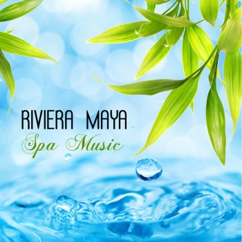 Spa Music Collective Spa Wellness Healing Music