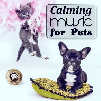 Pet Music Academy Animal Companion (Guitar & Calm Waves)