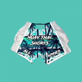 Исполнитель VVEST, альбом Muay Thai Shorts All Summer