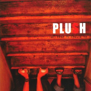 Plush Today